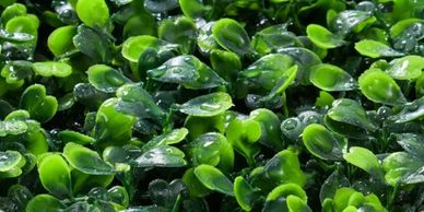 EASY INSTALL,MULTI-TONED, MULTI-LAYERED ARTIFICIAL GREENERY WALL PANELS FOR INDOOR AND OURTOOR USE 