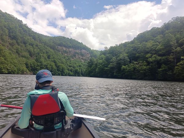 Person kayaking on a calm river surrounded by lush green hills under a partly cloudy sky.