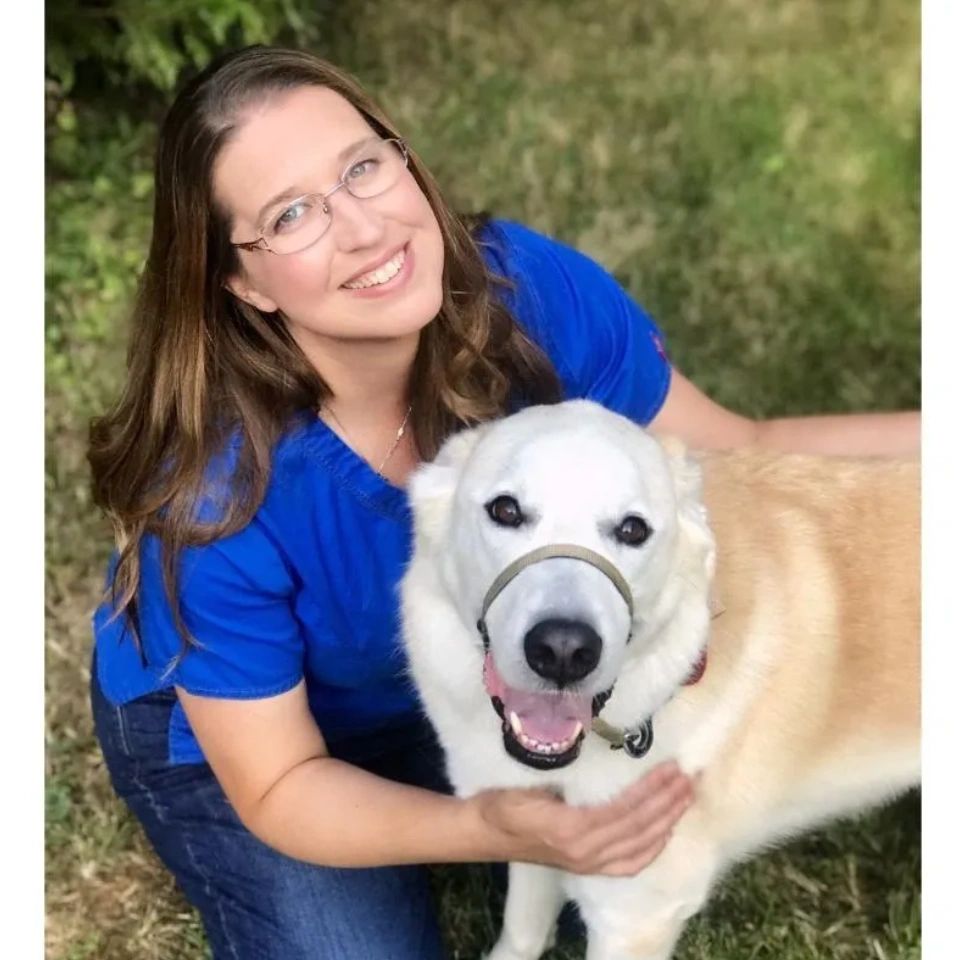 Integrated Veterinary A.R.T.S logo