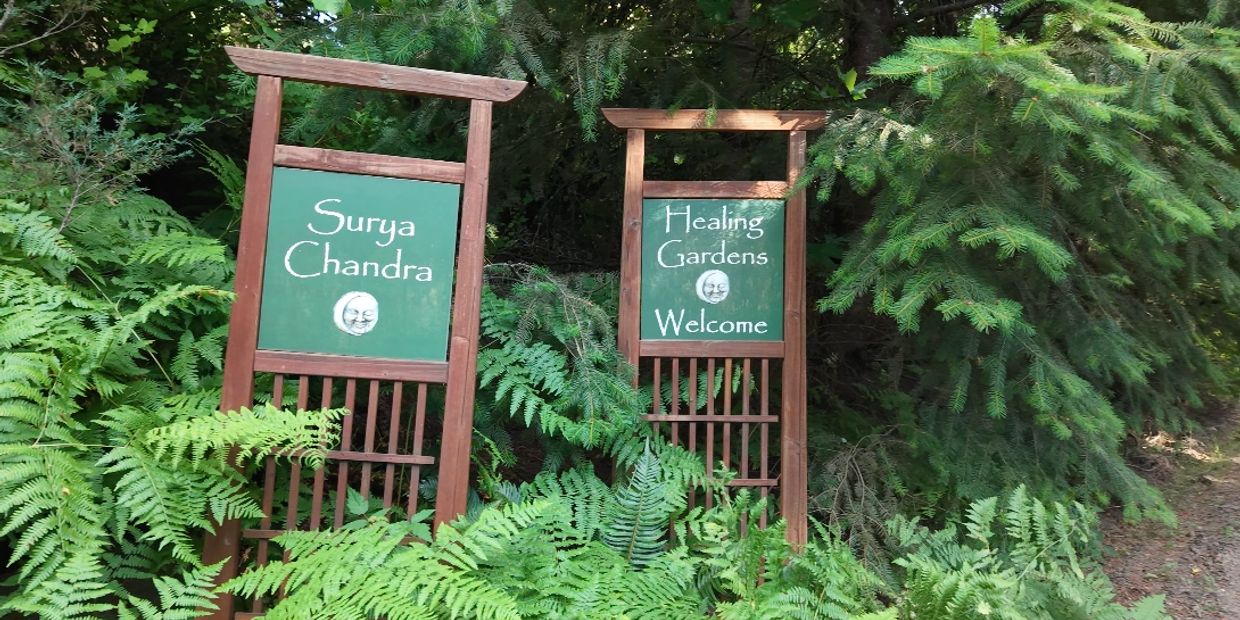 Two wooden signs amidst greenery with welcoming messages.