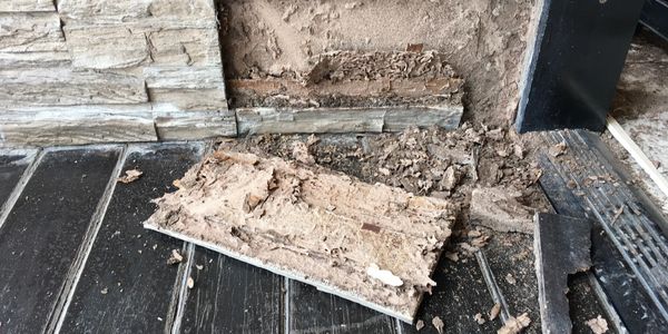 Termite treatment metairie