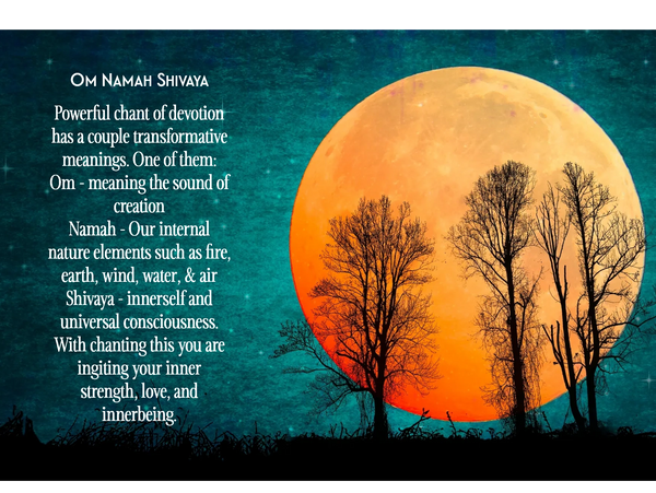 The Mantra! 
Om Namah Shivaya 