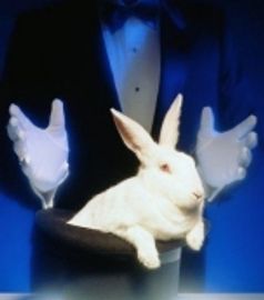 Magicians, walk around magic, stage shows. Mentalism, Mentalist