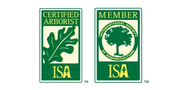 Certified arborist on staff