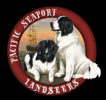 Pacific Seaport Landseers LLC....
Sanctioned Breeder of Landseer
