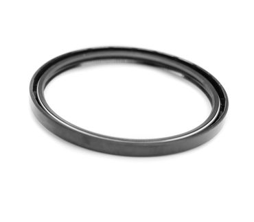 NBR oil seal double lip with spring