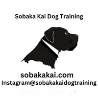 Sobaka Kai Dog Training
Professional Dog Educational Services