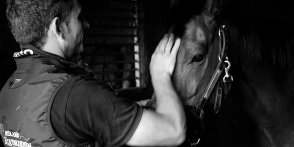 Mat Carter Midland Equine Dentist