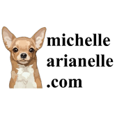 michellearianelle .com