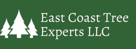 East Coast Tree Experts LLC