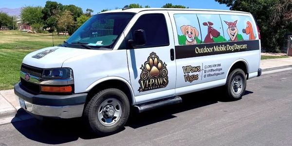 White van with colorful dog illustrations advertising VIPaws outdoor mobile dog daycare.