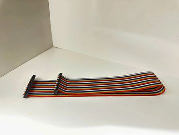 A multicolored ribbon cable with connectors on both ends.