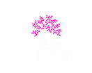 A&J Removal