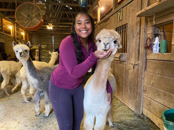 Geo with alpaca