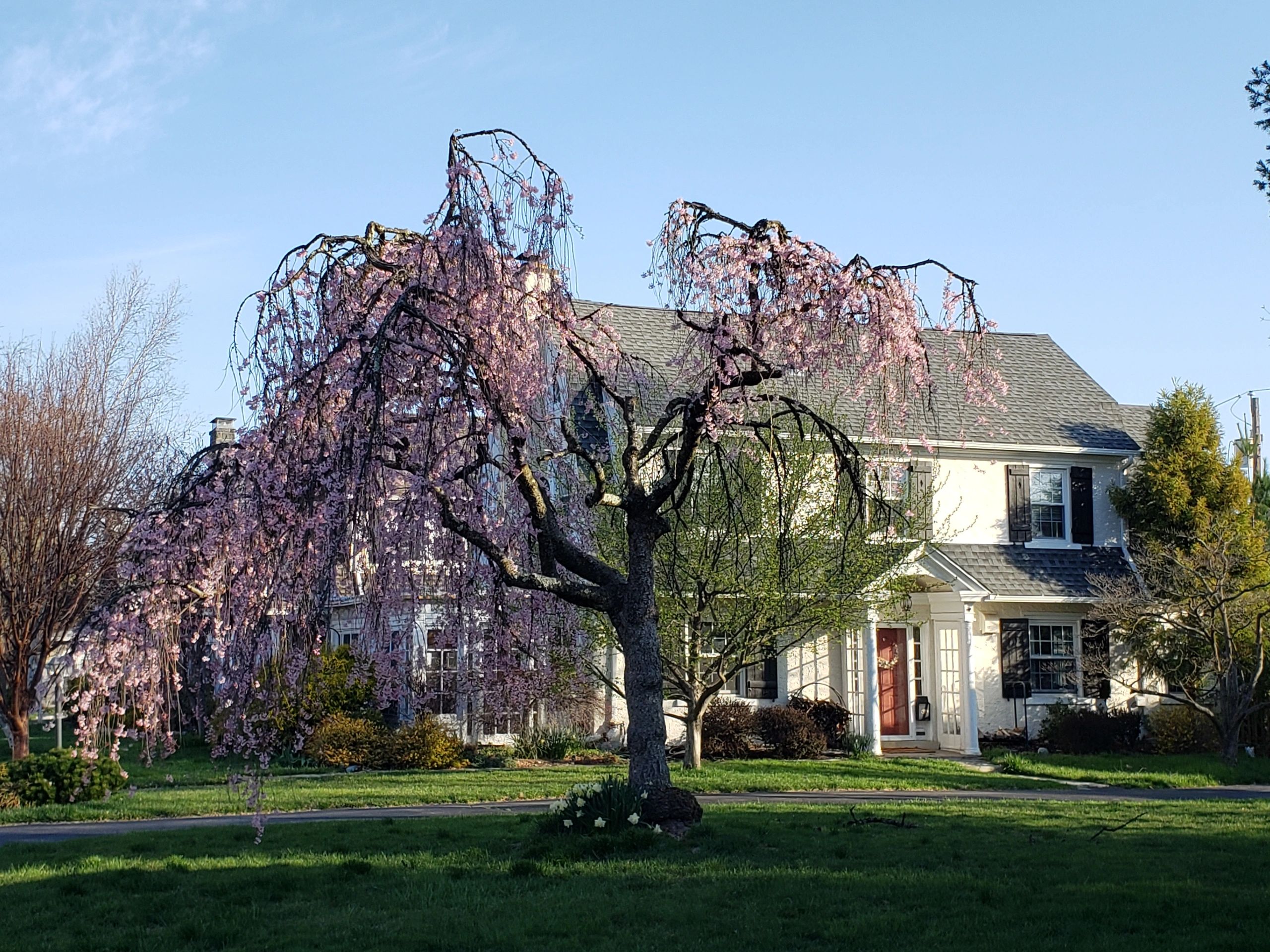 Drexel Park Homeowners Association