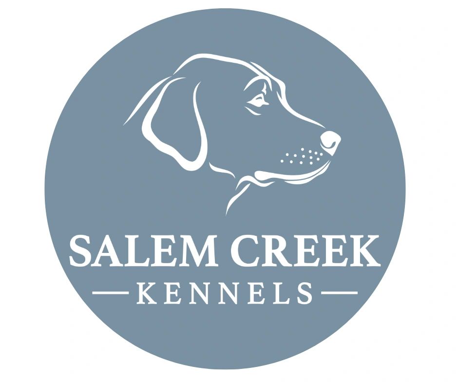Dog Boarding Salem Creek Kennels