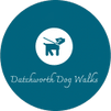 Datchworth dog walks