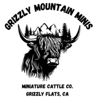 Grizzly Mountain Minis