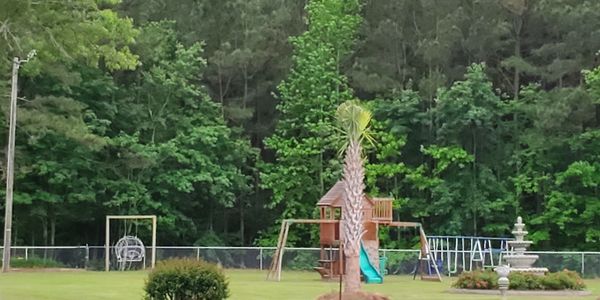 Savannah Grove Freewill Baptist Church