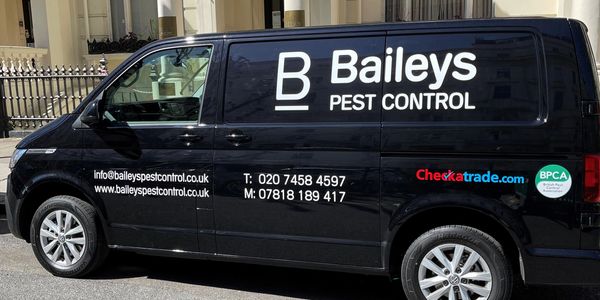 Pest Control Services - Baileys Pest Control Ltd