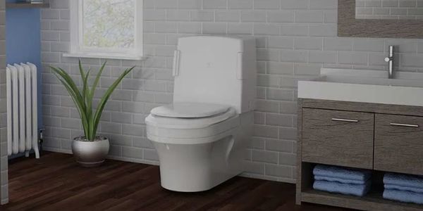 White Closomat toilet in bathroom next to sink and houseplant.