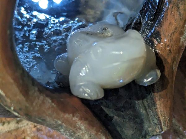 A close up of this stunning piece of Druzy Agate carved into a Frog 