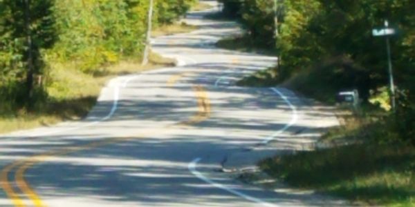 Road to Washington Island where you will find Ragnar's shop and his handcrafted wood bowl and spoons