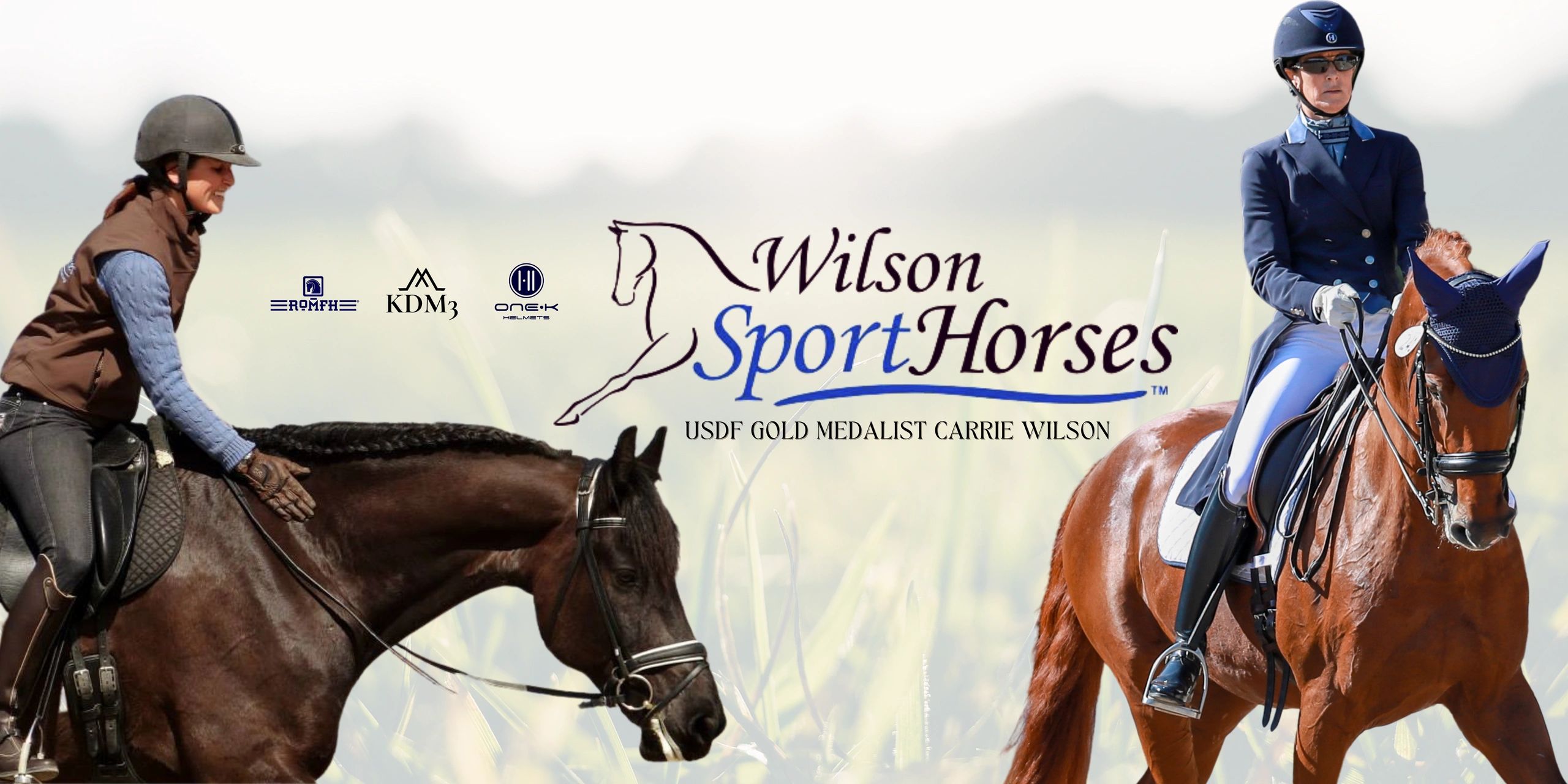 Wilson Sporthorses