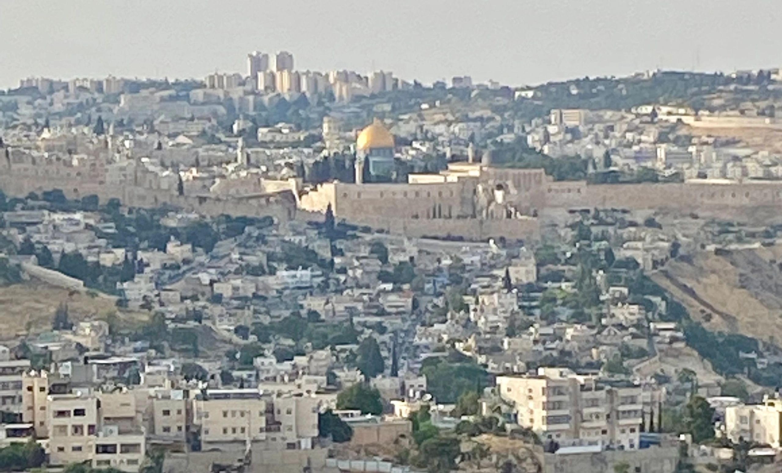 Cfi-Christian Friends of Israel Association logo