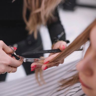 Close-up of a hairdresser cutting a client's hair with scissors.