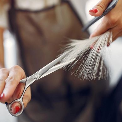 Close-up of hairdresser cutting blonde hair with scissors.