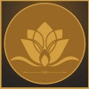 www.nadilive.com