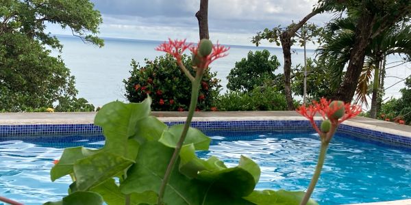 Poolside view with flowers and ocean backdrop.