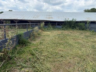 A barn with a metal roof and an overgrown fenced area.