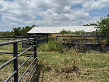 Rustic farmyard with metal gates and overgrown grass under a partly cloudy sky.