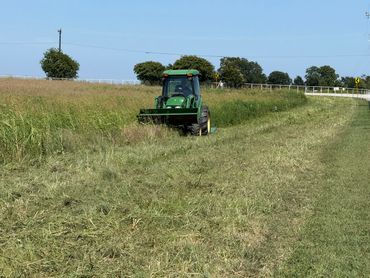 Green tractor mowing tall grass in a rural field on a clear day.