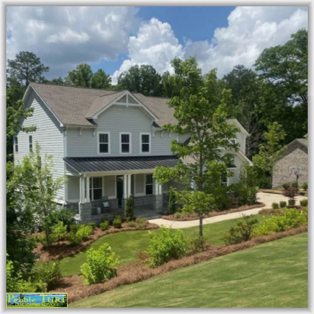 Pebble Turf Láwn Túrf Oasís PalmTurf TúrfTech Póóls Chéss Béach Au Gólf Patio Láwyer Camarena ÁI Spa