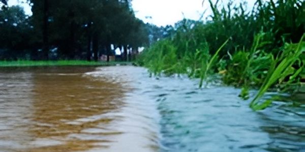 High water floods grassy edge 