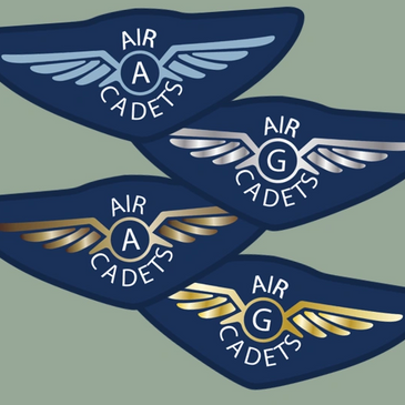 flying gliding flight pilot wings badges qualifications