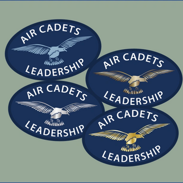 leadership teamwork badges qualifications