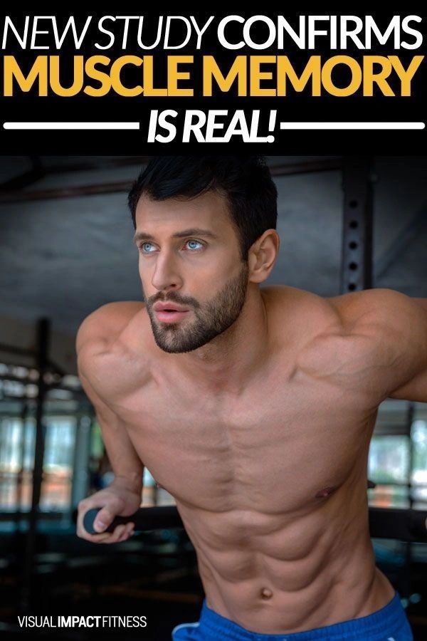 Muscle Memory: Understanding the Science and Application