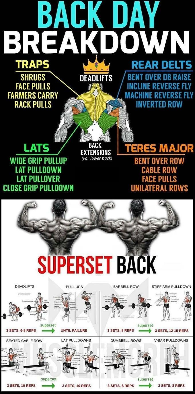 30 Days to a Wide Back Comprehensive Workout Program