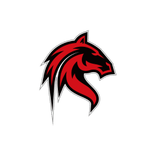 Conroe MUSTANGS' Basketball