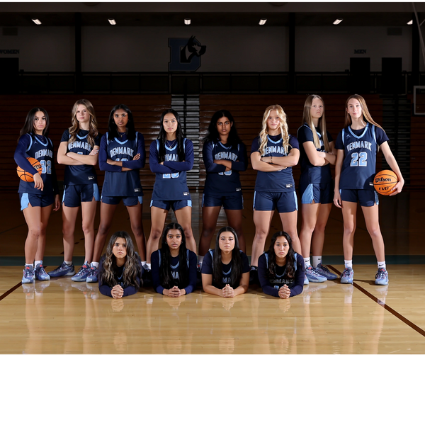 Denmark Girls Basketball