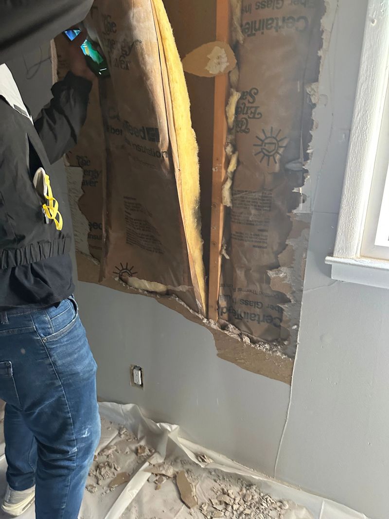 no signs of smoke damage before remov-fd03b1d.jpeg
