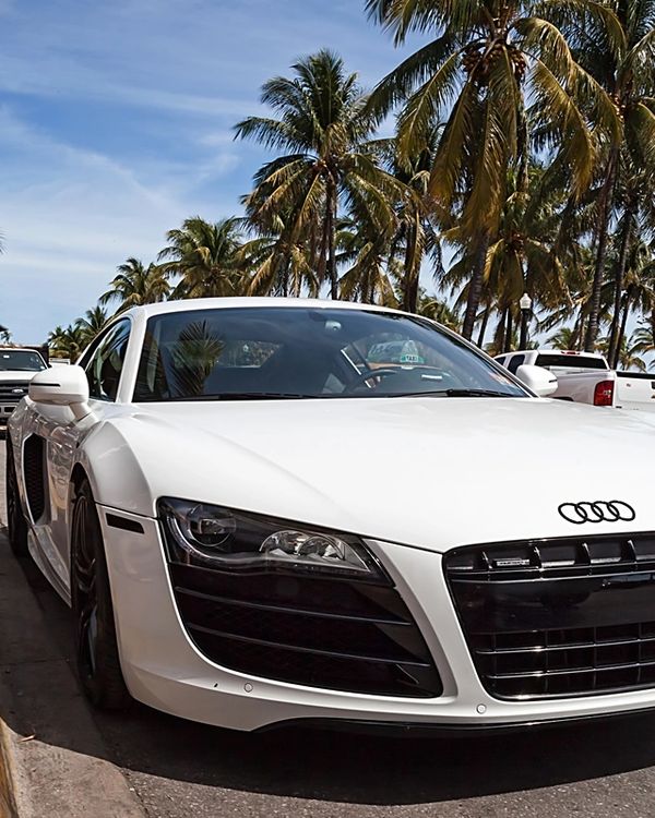 White Audi R8