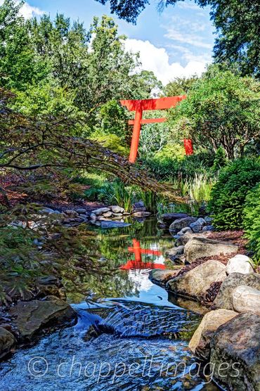 Oriental arbor in a garden is reflected in a rocky stream.  New Hanover Co Arboretum Wilmington, NC