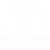 Paso Libre Band