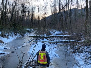 Consolidation Plan Maple Ridge Land Surveyor