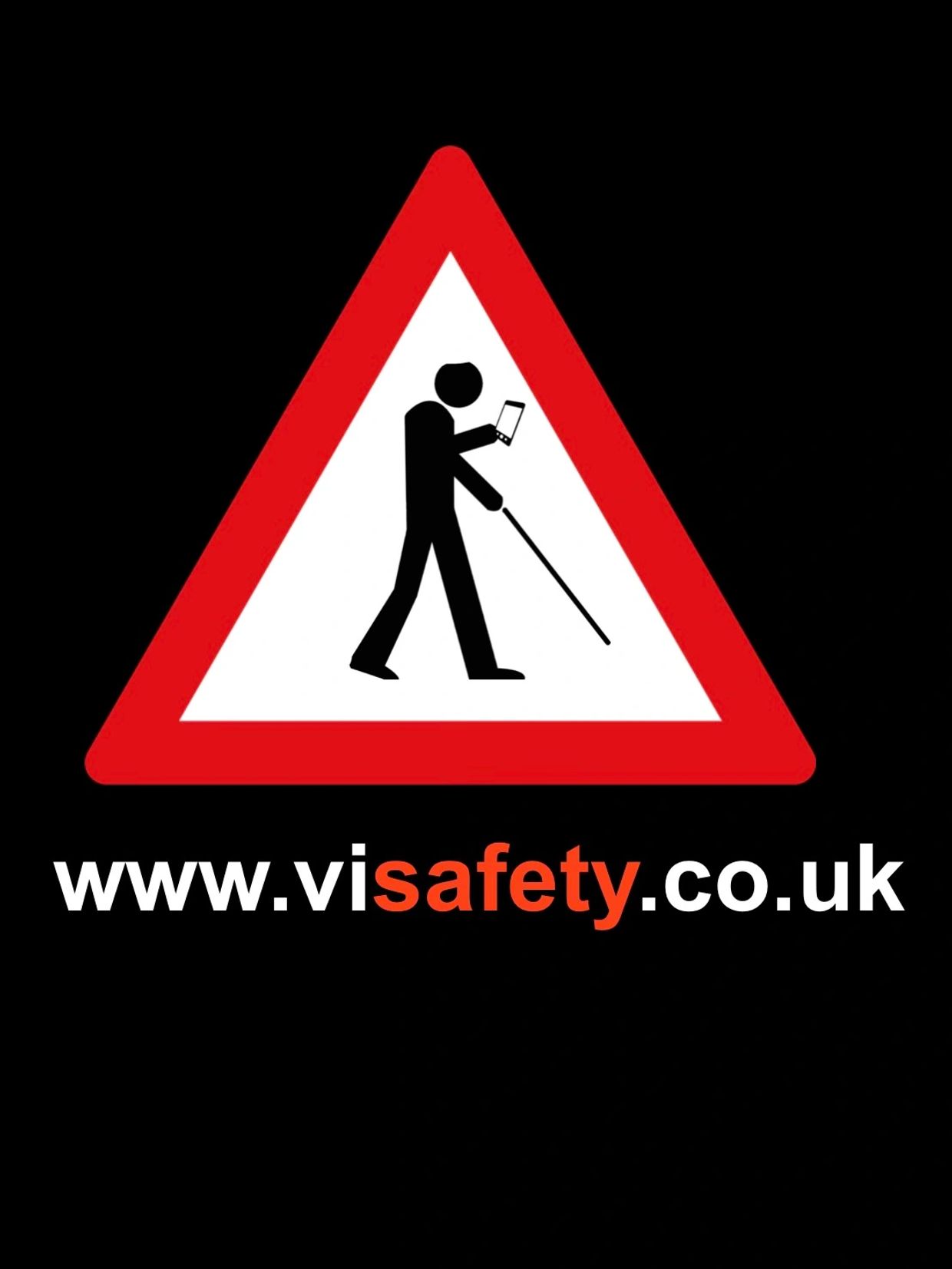 ViSafety   Logo image